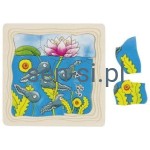 Puzzle cykl życia ŻABA 