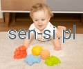 pojazdy.webp