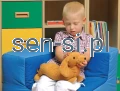 piesek.webp