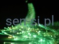 P1030902.JPG