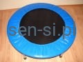 trampolina 100 cm.jpg