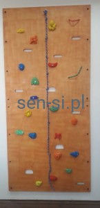 Ścianka wspinaczkowa 2,5 m.