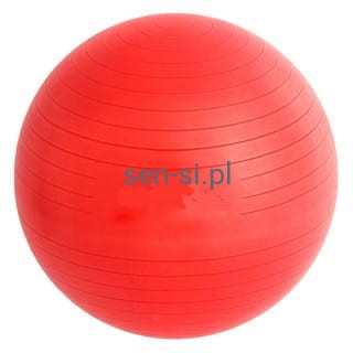 Piłka gimnastyczna 65 cm z pompką