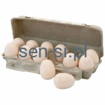 Memory dźwiękowe - jajka 18 szt.