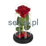 Świecąca róża w szkle